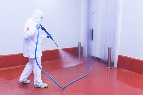 Best Winterizing Services  in Cameron, TX